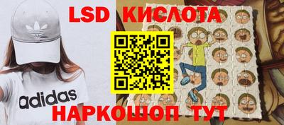 гидропоника Гатчина