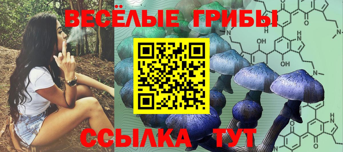 Тихвин  Галлюциногенные грибы GOLDEN TEACHER  Вход с VPN 
