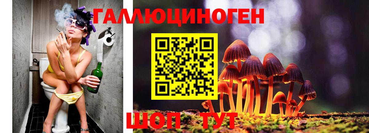 Галлюциногенные грибы Cubensis Тихвин